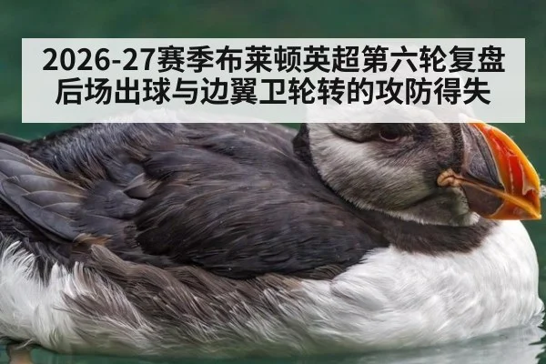2026-27赛季布莱顿英超第六轮复盘 后场出球与边翼卫轮转的攻防得失